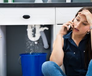 About Plumbers Pros Mcintosh, NM